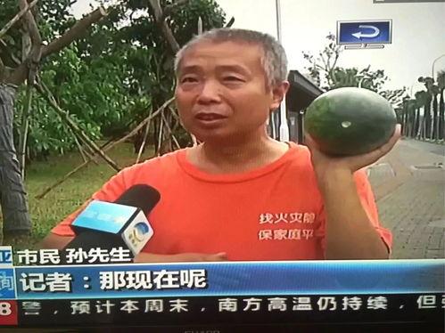 最近热门掉瓜事件,真相与反思