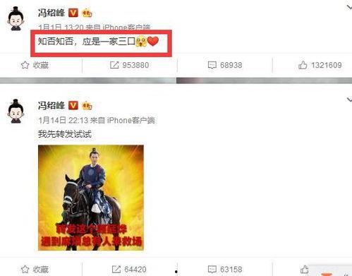 吃瓜爆料今日,吃瓜爆料，明星幕后故事大曝光