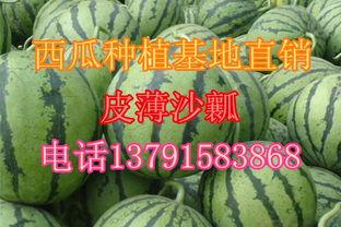 铁瓜今日行情,今日市场动态一览