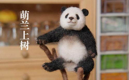 今日一瓜猫咪,揭秘宠物界的趣味瞬间