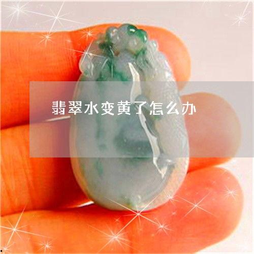 今日玉瓜价格,市场行情一览