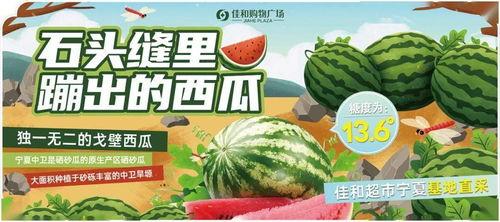 热门大瓜整蛊,一场精心策划的整蛊大戏！