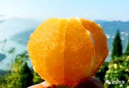土瓜今日价格