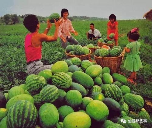 热门吃瓜视频温州,热门视频背后的惊人真相