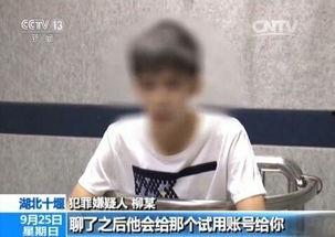 明星网红飞机泄露,揭秘幕后真相与影响