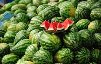 51今日吃瓜热门大瓜更新,热门大瓜新鲜出炉，揭秘娱乐圈最新动态！