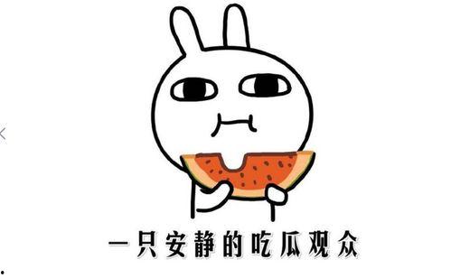 今年热门吃瓜事件,2023年度娱乐圈最热吃瓜事件大盘点
