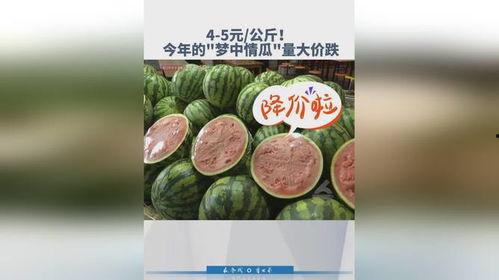 瓜价今日价格,揭秘市场波动背后的秘密”