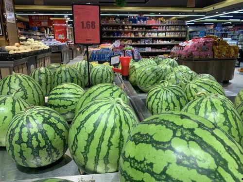 瓜价今日价格,揭秘市场波动背后的秘密”