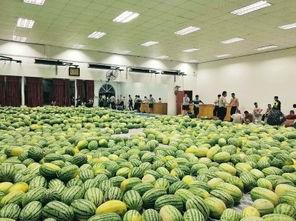 最近学校的热门瓜,揭秘近期校园热门事件背后的真相