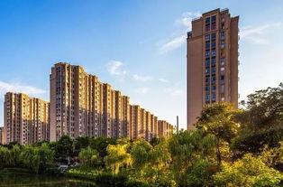 今日瓜沥房价,今日行情一览，投资风向标揭晓”