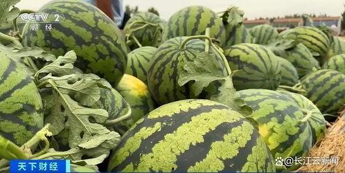 每日吃瓜热门大瓜每日更新,热门事件实时更新