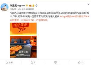 明星网红店打卡,明星同款店铺大揭秘