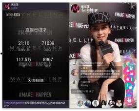 明星网红账务问题,揭秘财务漏洞与合规挑战