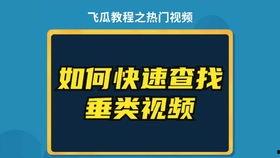 飞瓜热门音乐,潮流旋律引领听觉盛宴