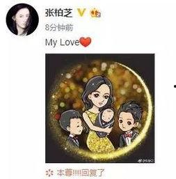 热门吃瓜事件盘点,娱乐圈风云再起，社会热点一网打尽