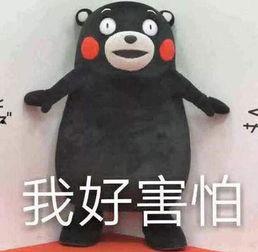 热门吃瓜事件盘点,娱乐圈风云再起，社会热点一网打尽
