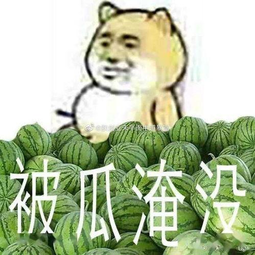 今日吃瓜黑料最新消息,今日吃瓜黑料揭秘，明星隐私再掀波澜