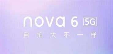 明星网红打卡墙,明星同款地标，潮流聚集地大揭秘