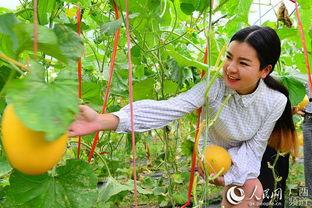 广西今日的瓜,最新资讯大盘点”