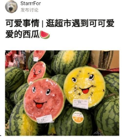 摘瓜的热门文案,热门文案揭秘摘瓜技巧与乐趣