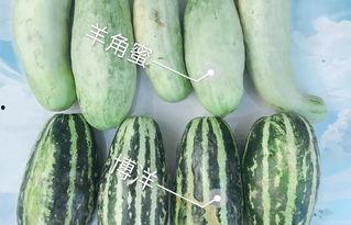 今日深瓜价格,今日市场行情一览”