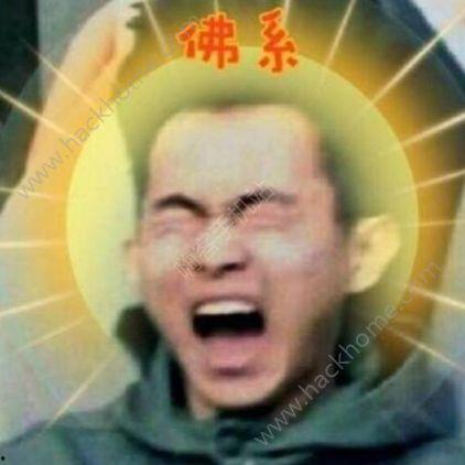 抖音热门瓜合集,揭秘网络热点背后的故事