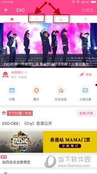 找明星网红app,找明星网红APP带你轻松互动