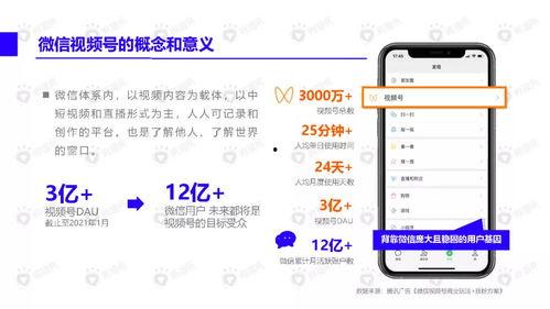 教师吃瓜爆料视频下载,校园幕后真相大曝光