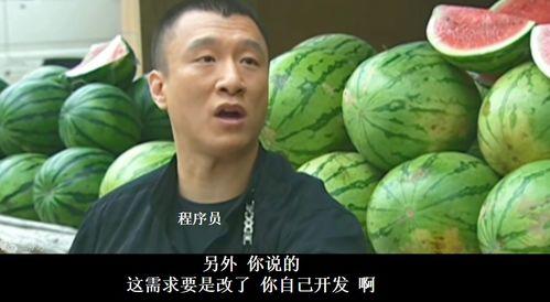 华强买瓜热门歌曲,热门歌曲背后的欢乐故事