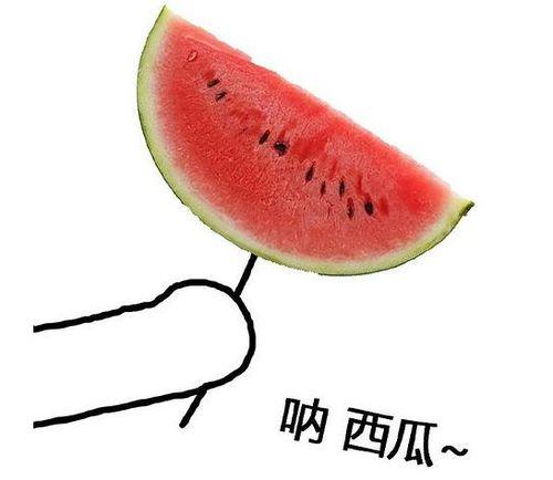 今日新鲜瓜,今日新鲜瓜品鉴记