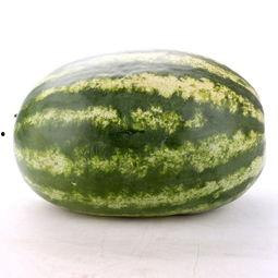 缅瓜今日行情,今日价格波动解析