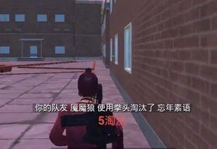 和平精英吃瓜爆料诗,吃瓜爆料诗，揭秘游戏幕后风云