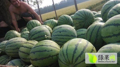 最近最热门的瓜,揭秘明星恋情与幕后真相