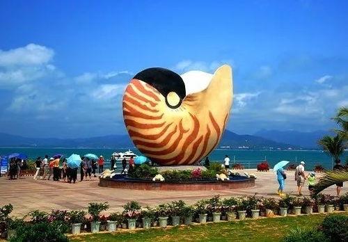 西岛明星网红虾饼,美味与潮流的完美邂逅