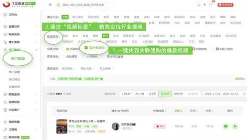 飞瓜数据热门词,洞察行业趋势，引领潮流风向标