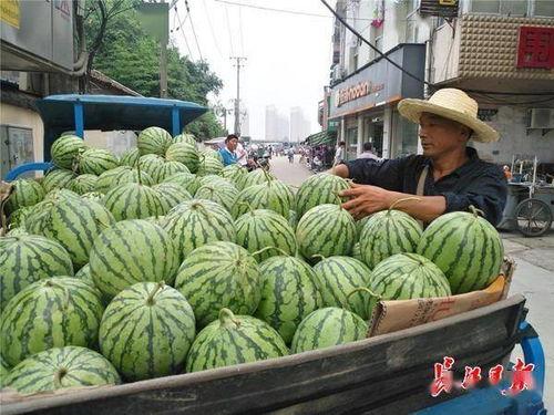 今日卖瓜价格,价格实惠，尽享夏日清凉！
