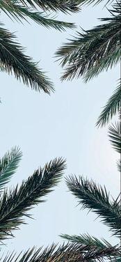 抖音热门新瓜,揭秘热门视频背后的惊人真相！