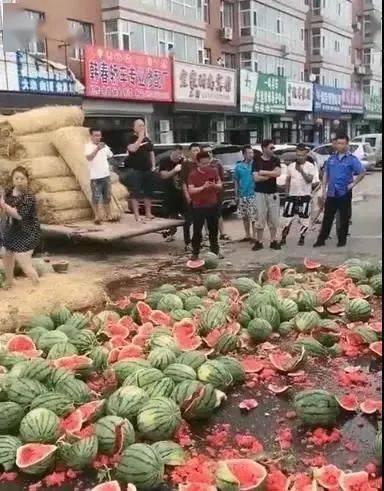 长垣吃瓜事件爆料入口,爆料入口背后的真相与争议