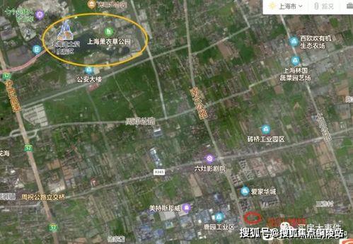 qq吃瓜爆料最新图文,揭秘娱乐圈最新热点事件图文大揭秘！”