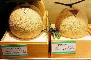 今日蜜瓜卖价,抢购热潮席卷市场