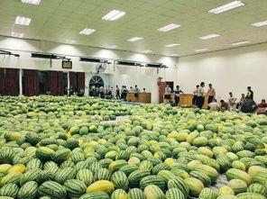 最近学校热门的瓜,揭秘近期校园热门瓜之真相揭晓