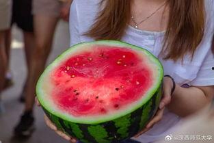 最近学校热门的瓜,揭秘近期校园热门瓜之真相揭晓