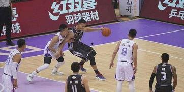 2019全明星网红,璀璨星光下的网络新势力