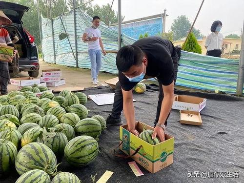 宁夏瓜今日行情,新鲜瓜果飘香，价格稳中有升”