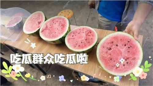 吃瓜今日更新,揭秘娱乐圈最新热点事件
