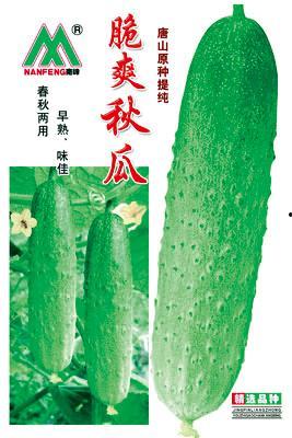 秋瓜今日市价,今日行情一览