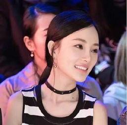 李姓明星网红,跨界网红界的璀璨星辉