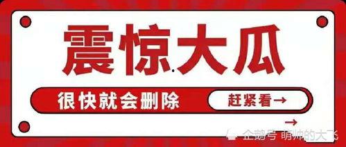 吃瓜八卦娱乐圈文案,揭秘明星幕后故事，吃瓜群众必看！