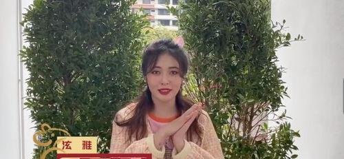 明星网红村视频,明星效应下的乡村新貌揭秘